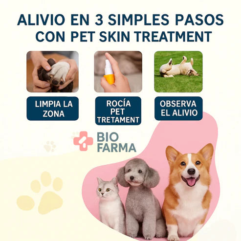 Transforma la comodidad de tu mascota hoy.